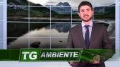 TG Ambiente del 15 Aprile 2016