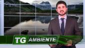 Tg Ambiente del 3 giugno 2016