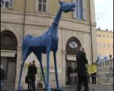 Roma, Cavallo di Basaglia arriva in Parlamento