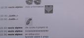 Delitto Rea: intercettazioni telefoniche tra Parolisi e Ludovica