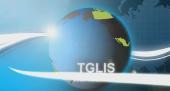 TgLIS del 21 gennaio 2014