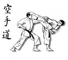 Plurivitamina "un dojo tra i monti"