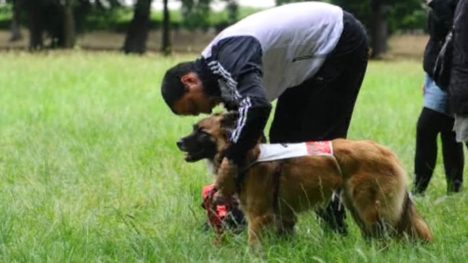 Sei zampe per correre in compagnia